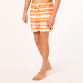 Blur Stripes Rc 16" Beachshort