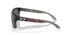 Holbrook™ Troy Lee Designs Series