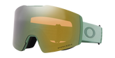 Fall Line M Snow Goggles