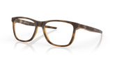 Centerboard (Low Bridge Fit)