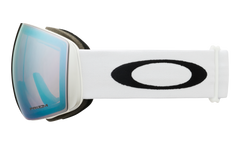 Flight Deck™ L Snow Goggles